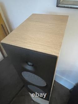 Revival Audio Sprint 4 Floor Standing Speakers