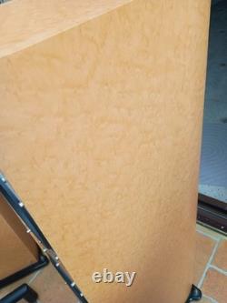 Roth Audio Oli40 Pair Floor Standing Speakers 200w