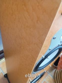 Roth Audio Oli40 Pair Floor Standing Speakers 200w