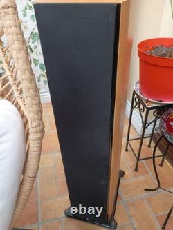 Roth Audio Oli40 Pair Floor Standing Speakers 200w