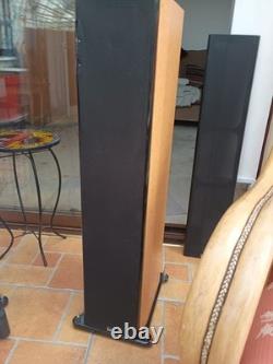 Roth Audio Oli40 Pair Floor Standing Speakers 200w