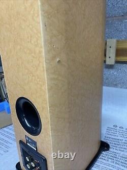 Roth Audio Oli 40 Floor Standing Speakers