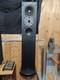 Royd Doublets 2-Way Floor standing Speakers With Stands