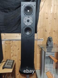 Royd Doublets 2-Way Floor standing Speakers With Stands