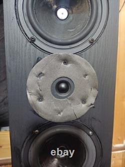 Royd Doublets 2-Way Floor standing Speakers With Stands