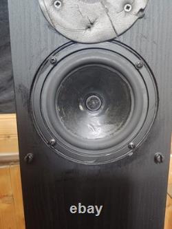 Royd Doublets 2-Way Floor standing Speakers With Stands