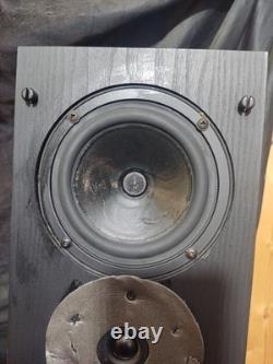 Royd Doublets 2-Way Floor standing Speakers With Stands