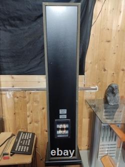 Royd Doublets 2-Way Floor standing Speakers With Stands