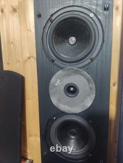 Royd Doublets 2-Way Floor standing Speakers With Stands