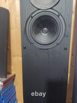 Royd Doublets 2-Way Floor standing Speakers With Stands