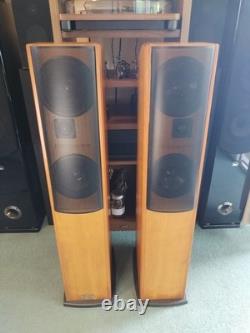 Ruark Prologue One Floor Standing Speakers Tested Working