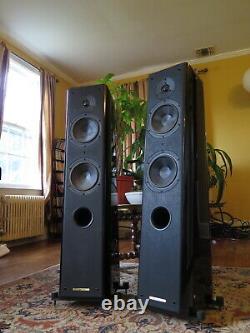 Sonus Faber Grand Piano Home Speakers Made in Italy Audiophile Quality