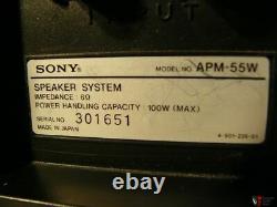 Sony APM-55W 200With6 ohms speakers /WS-G4D stands, Made in Japan