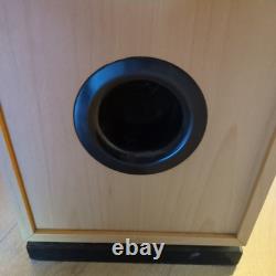 TDL Studio 5 Floor Standing Speakers Tested And Working