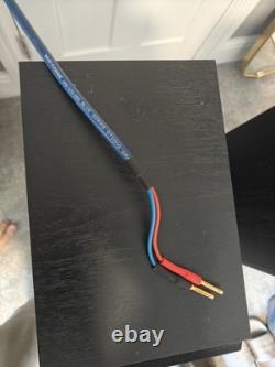 Tannoy Eclipse Two Black Oak Floor Standing Speakers