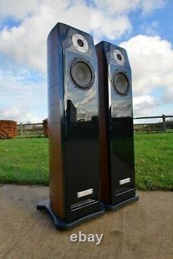 USHER Mini Dancer ONE 1 BE Beryllium Floorstanding Speakers TRUE AUDIOPHILE