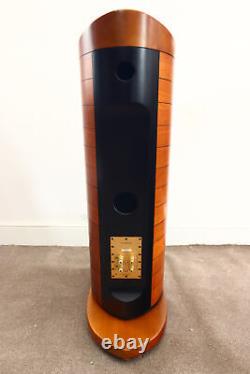 Usher BE-10 DMD Floorstanding Speakers, good working condition, 3 month warranty