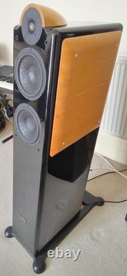 Usher compass CP-6371 floorstanding speakers