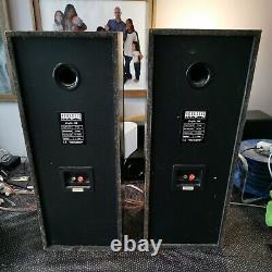 Vintage Acoustic Solutions Profile 300 Floor Standing Speakers DD