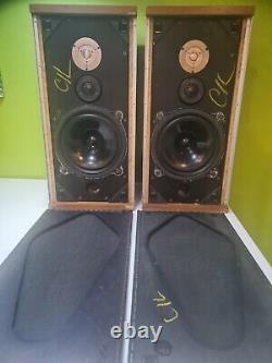 Vintage B&W DM4 Bowers Wilkins Floor Standing Speakers Audiophile England GC