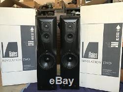 Vintage Hales Design Groups Revelation Two High End Floorstanding Speakers + Box