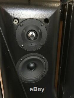 Vintage Hales Design Groups Revelation Two High End Floorstanding Speakers + Box