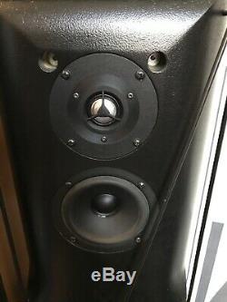 Vintage Hales Design Groups Revelation Two High End Floorstanding Speakers + Box