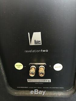 Vintage Hales Design Groups Revelation Two High End Floorstanding Speakers + Box