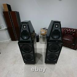 Wilson Audio Watt 6 Puppy Floor Standing Steareo Speakers