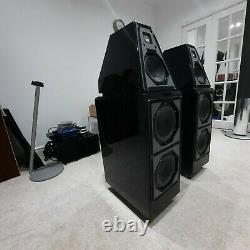 Wilson Audio Watt 6 Puppy Floor Standing Steareo Speakers