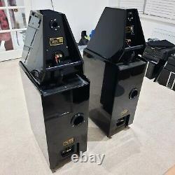 Wilson Audio Watt 6 Puppy Floor Standing Steareo Speakers