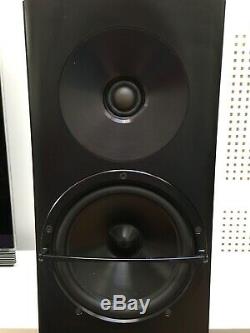 YG Acoustics Carmel 2 high end floor standing speakers RRP £25000